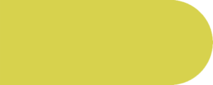 Standard Anisette