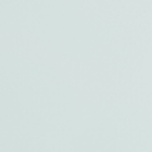 Vernis Blanc