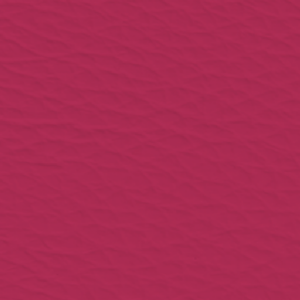 Fantasia Fuchsia