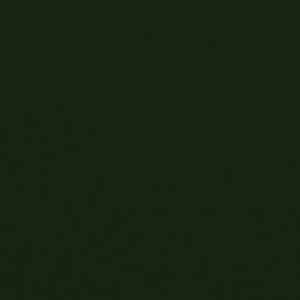 Gomme Unie Vert Bouteille
