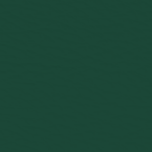 Standard Vert Toundra