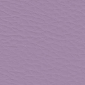 Fantasia Lilas