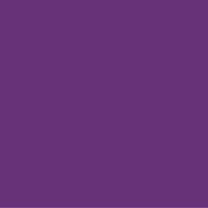 Violet 937