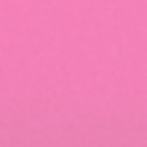 Gomme Unie Rose Oeillet