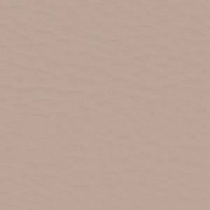 Standard Beige