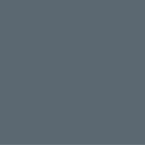 Gris 924
