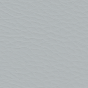 Standard Gris Clair