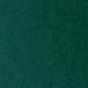 Vernis Vert Feuille