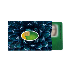 Etui rigide végétal 1 carte Vitale