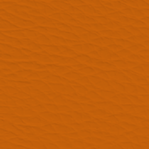 Fantasia Orange