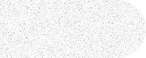 Disco Blanc
