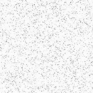 Disco Blanc