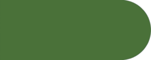 Gomme Vert Olive